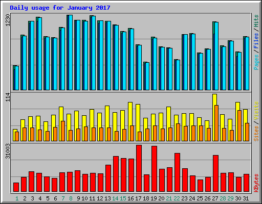 Daily usage for January 2017