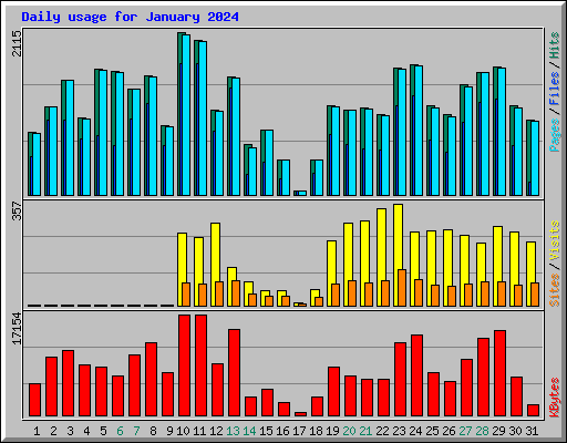 Daily usage for January 2024
