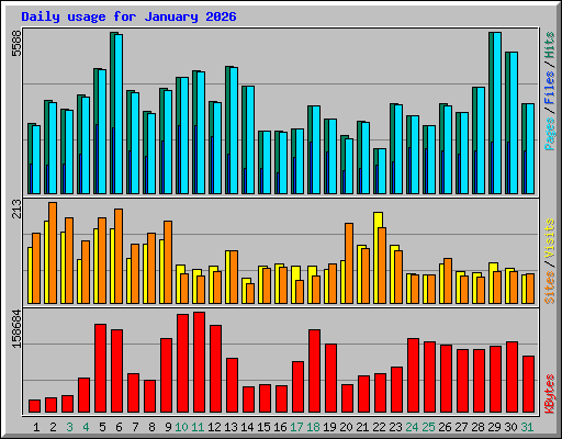 Daily usage for January 2026