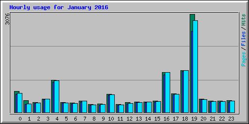 Hourly usage for January 2016