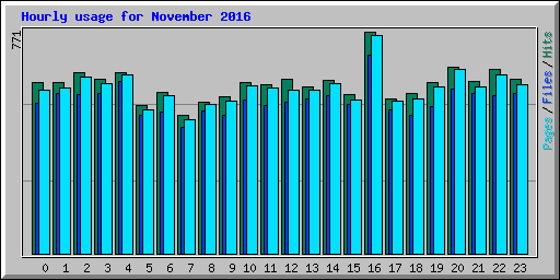 Hourly usage for November 2016