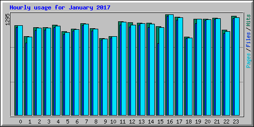 Hourly usage for January 2017