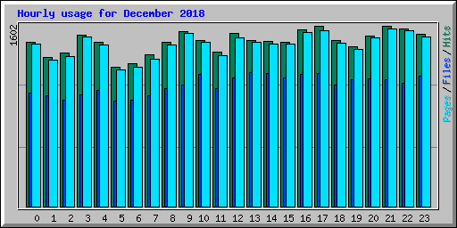 Hourly usage for December 2018