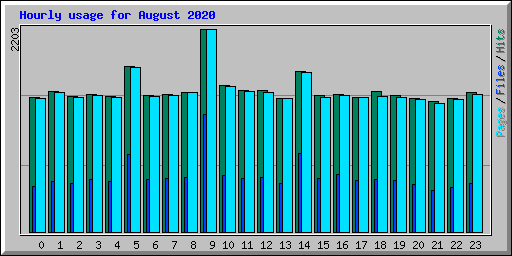 Hourly usage for August 2020