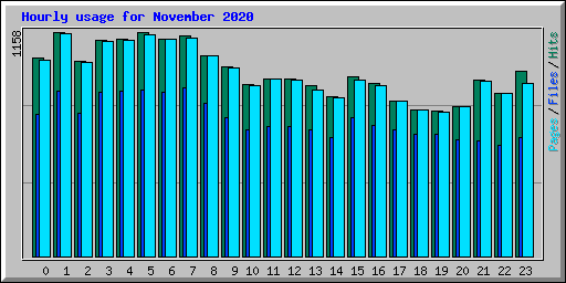 Hourly usage for November 2020