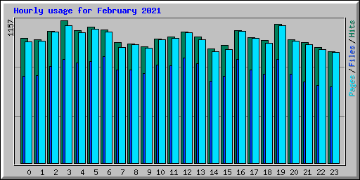 Hourly usage for February 2021