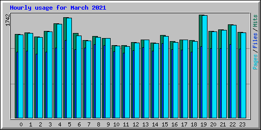 Hourly usage for March 2021
