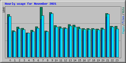 Hourly usage for November 2021
