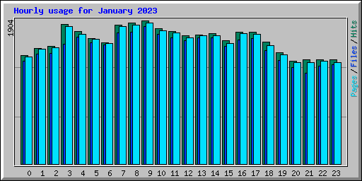 Hourly usage for January 2023