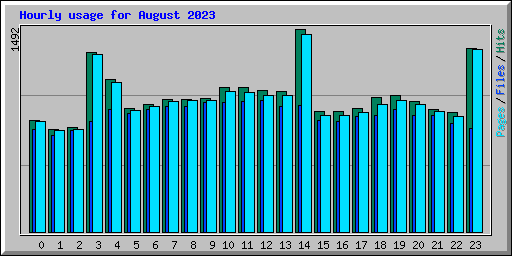 Hourly usage for August 2023