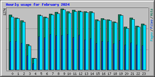 Hourly usage for February 2024