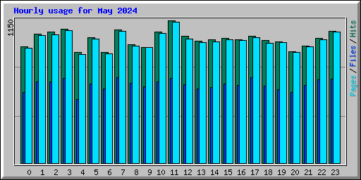 Hourly usage for May 2024