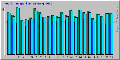 Hourly usage for January 2025
