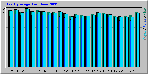 Hourly usage for June 2025