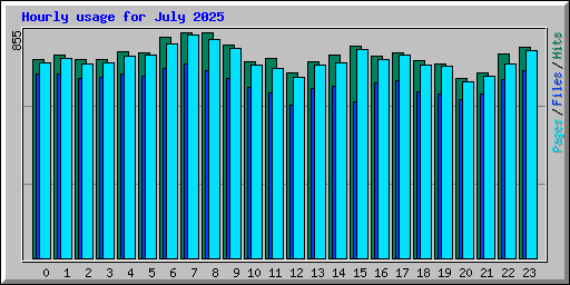 Hourly usage for July 2025