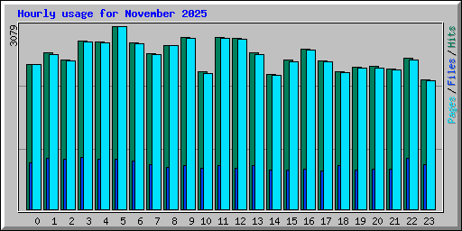 Hourly usage for November 2025