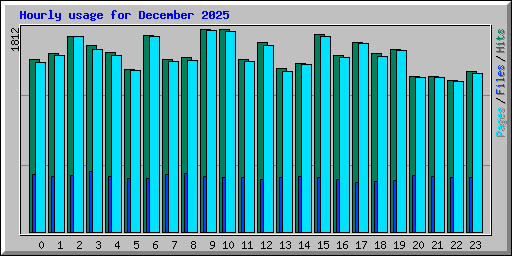 Hourly usage for December 2025