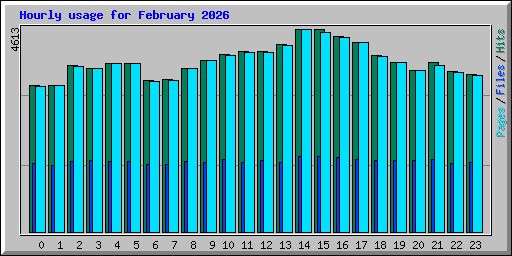 Hourly usage for February 2026