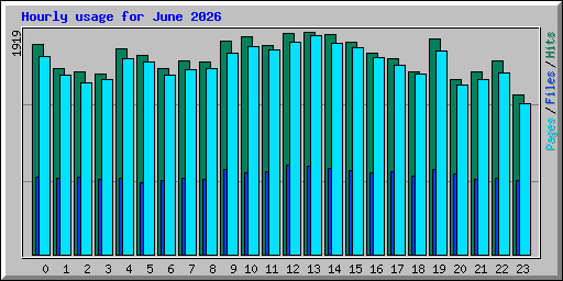 Hourly usage for June 2026