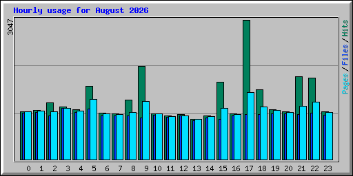 Hourly usage for August 2026